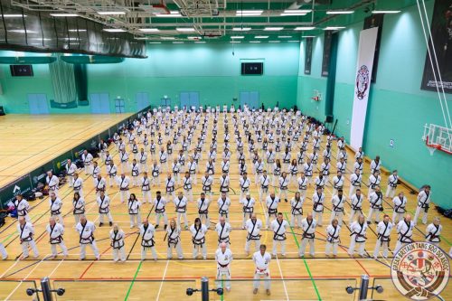Master and dan grades lined up behind KCN Strong and BKCN Khan