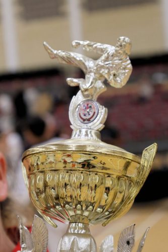 Gup Grand Champion Cup
